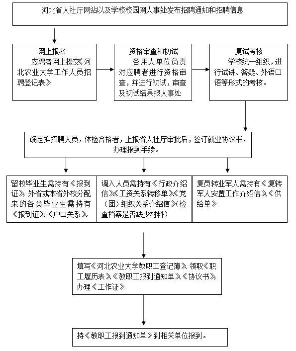 河北农业大学从人才招聘流程图.png